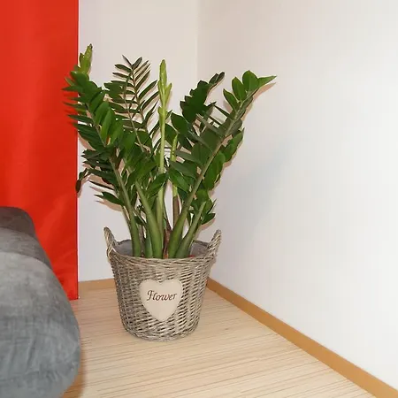 Appartement W & S Executive - I