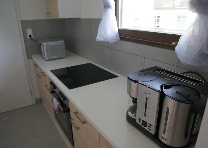 W&s行政公寓酒店 - I 号 哈尔施塔特