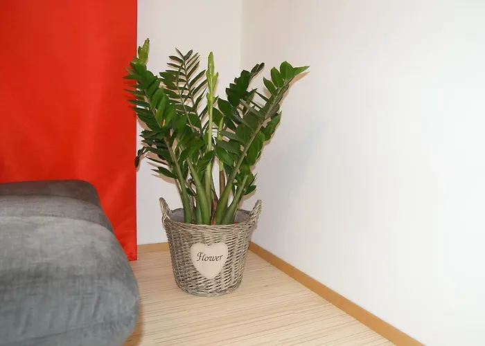 公寓 W&s行政公寓酒店 - I 号