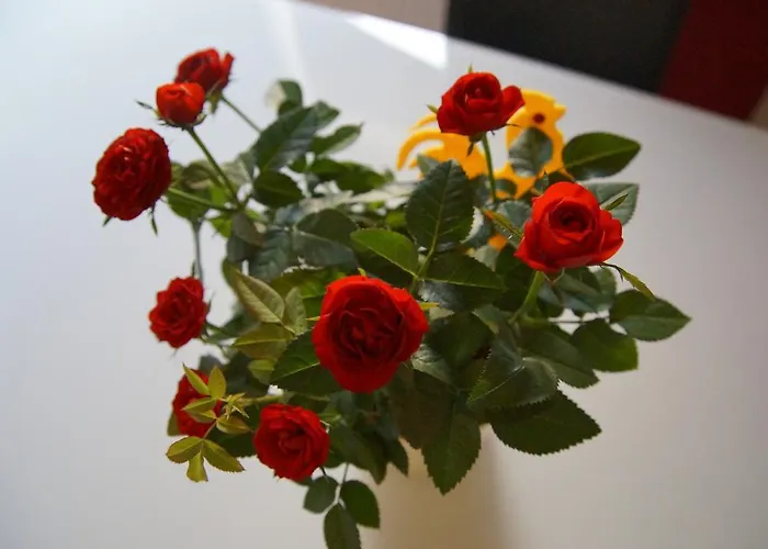 W&s行政公寓酒店 - I 号